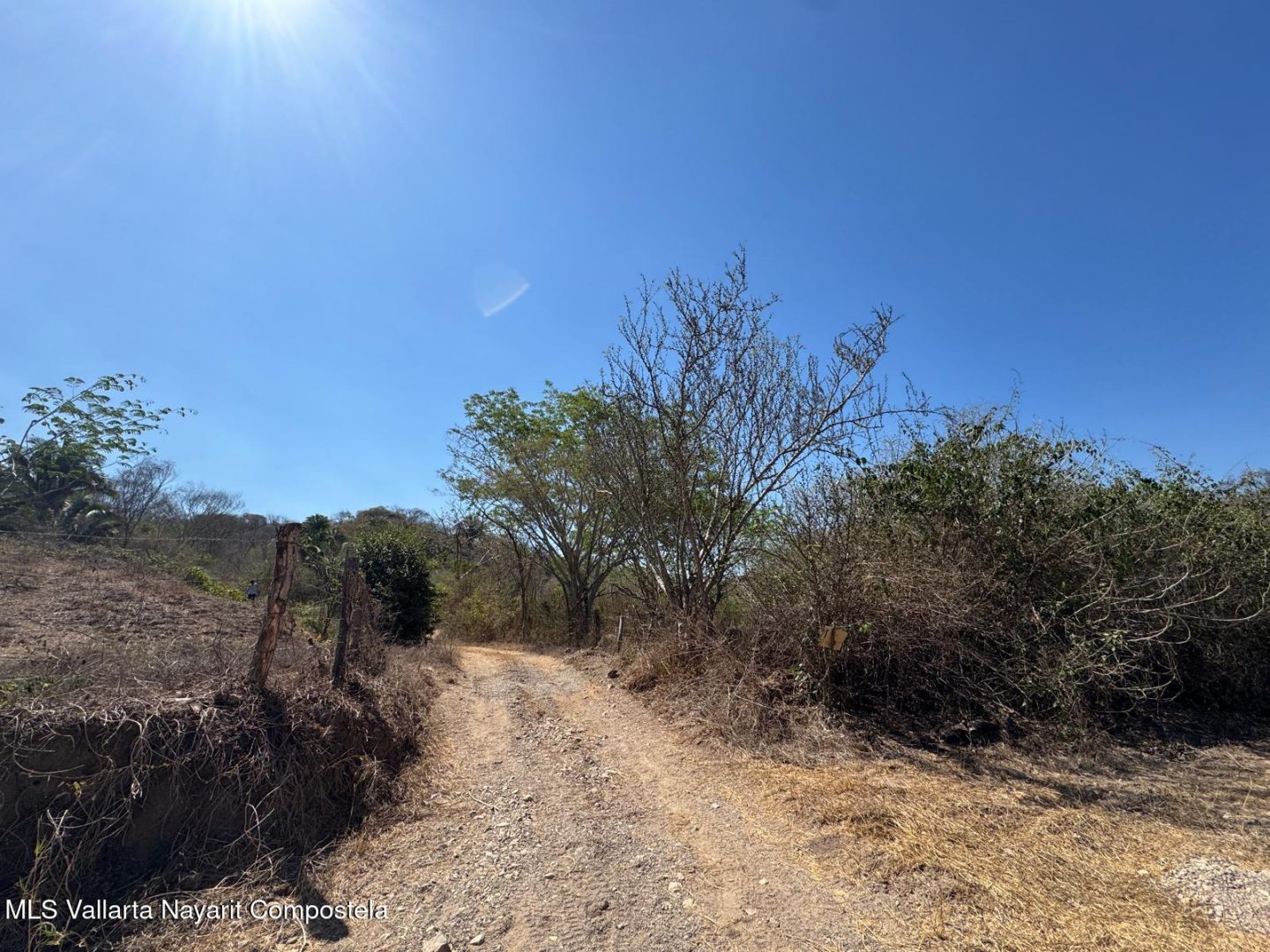 20250430003947831489000000-o