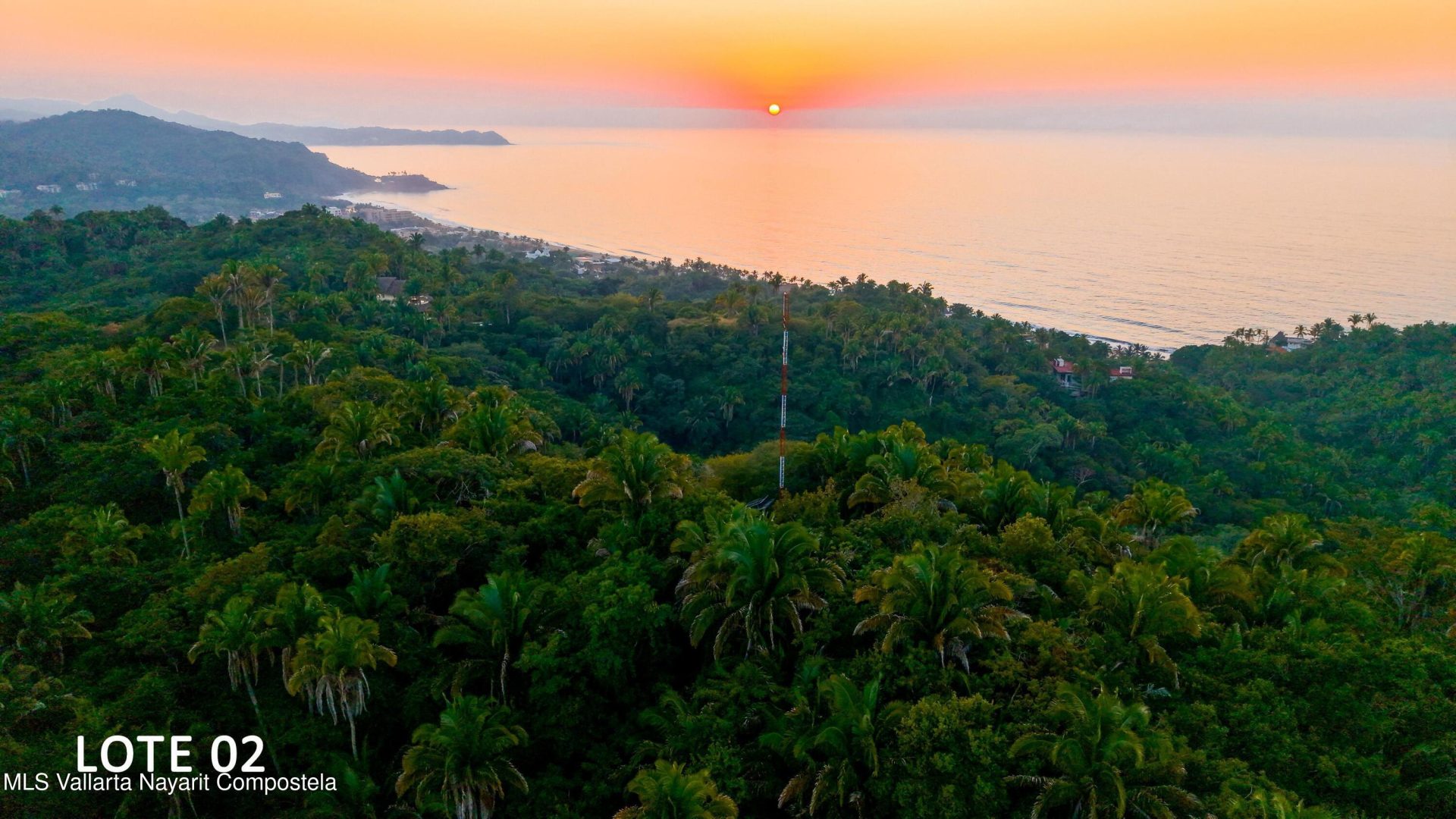 20260313225100525388000000-o