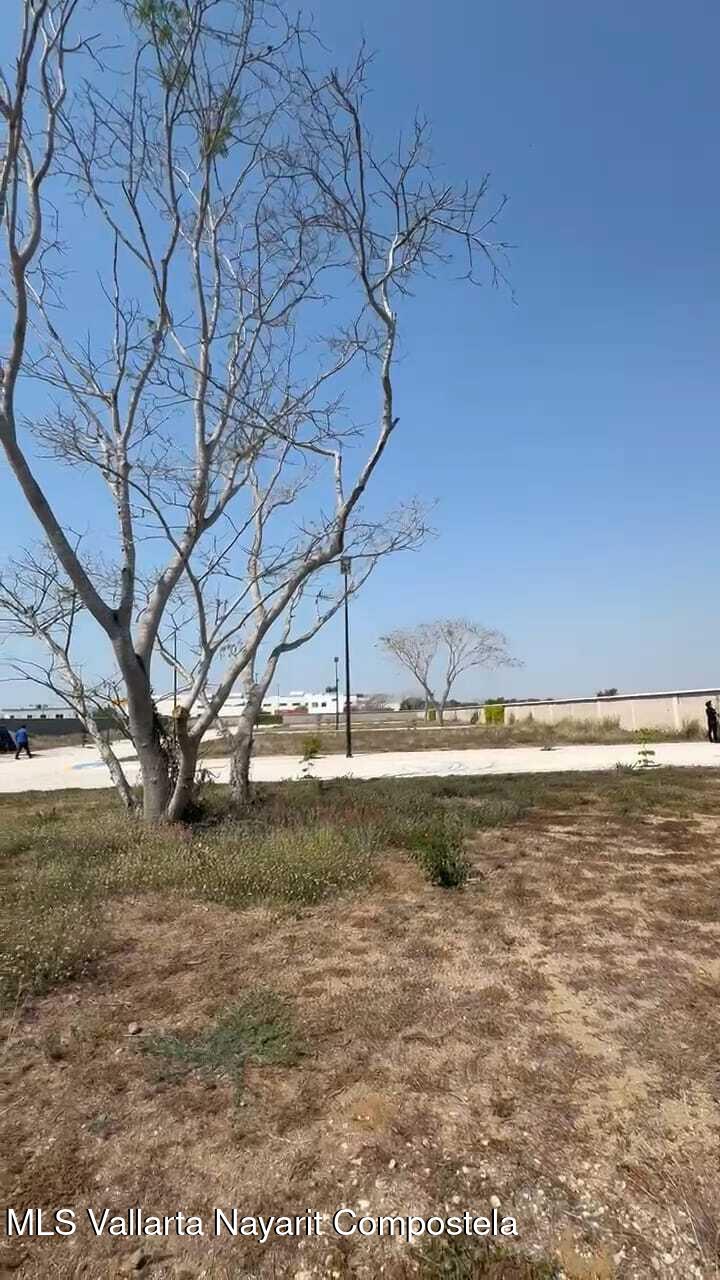 20260319193131834796000000-o