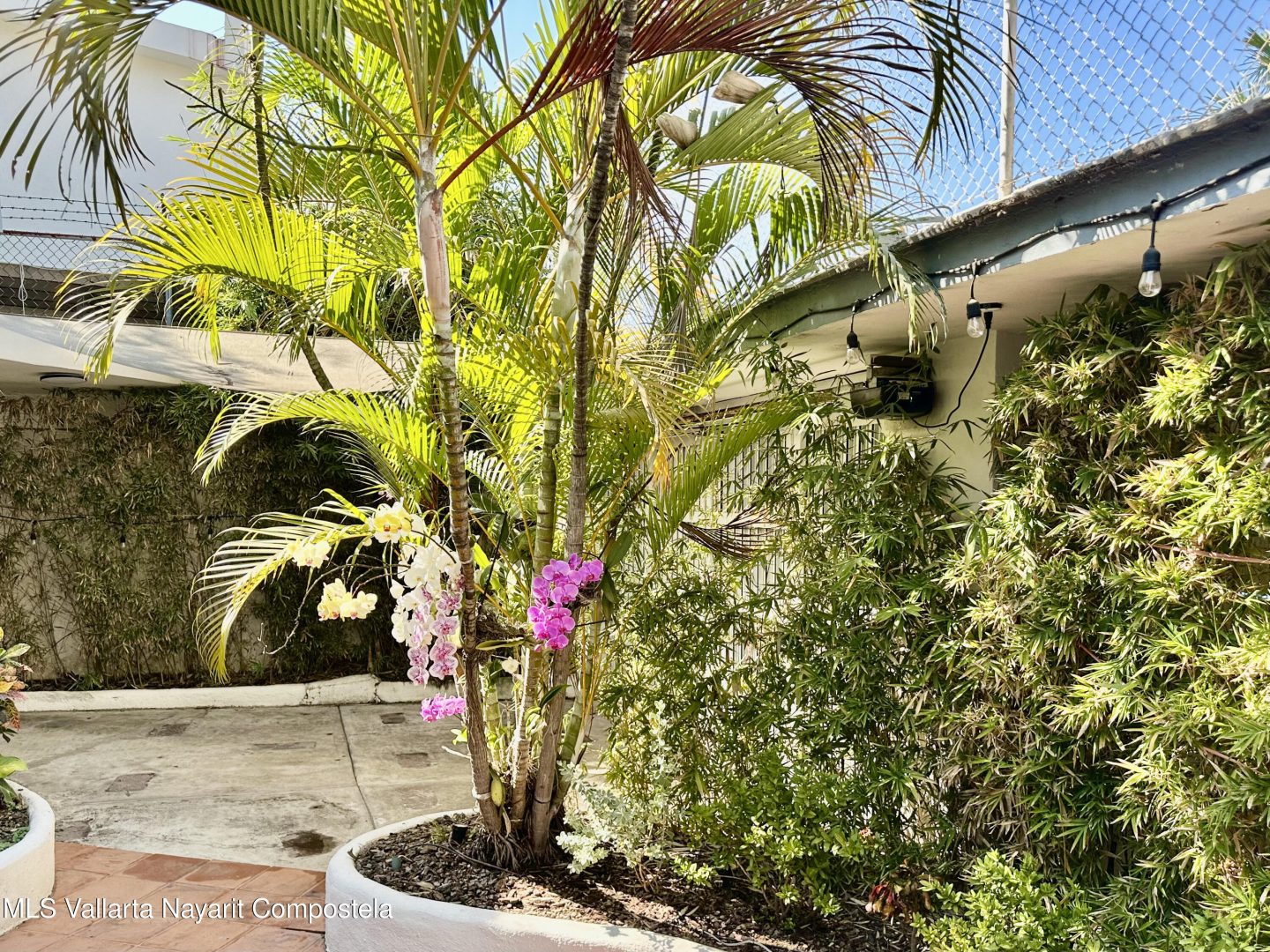 20260321172925659666000000-o