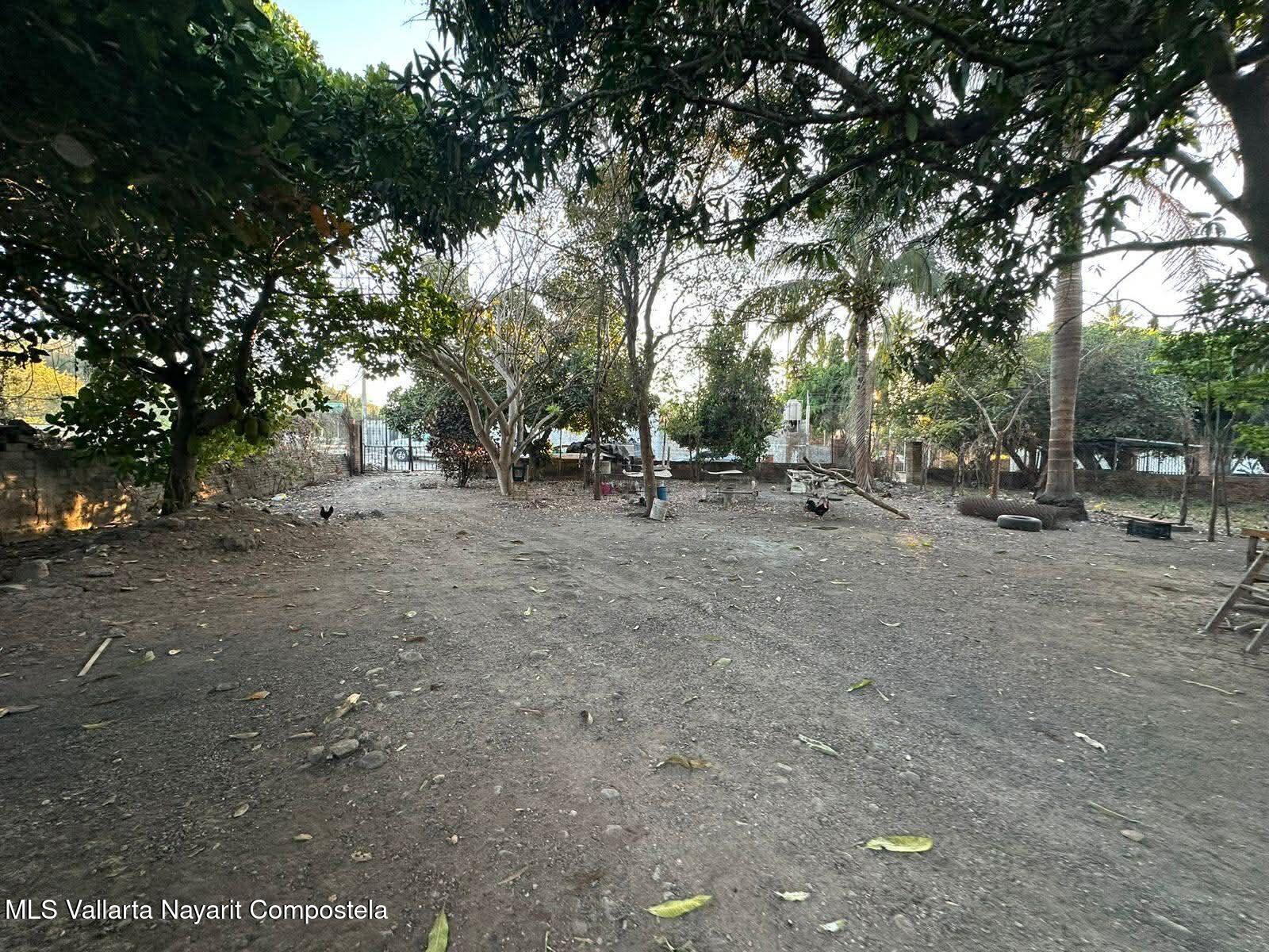 20260325052418623884000000-o