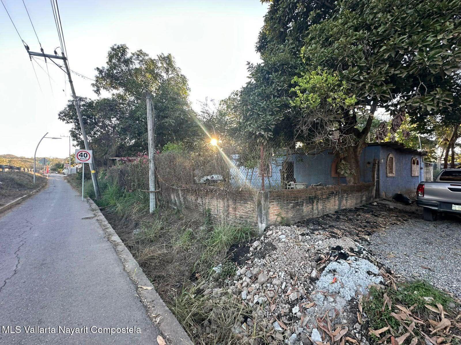 20260325052419715984000000-o