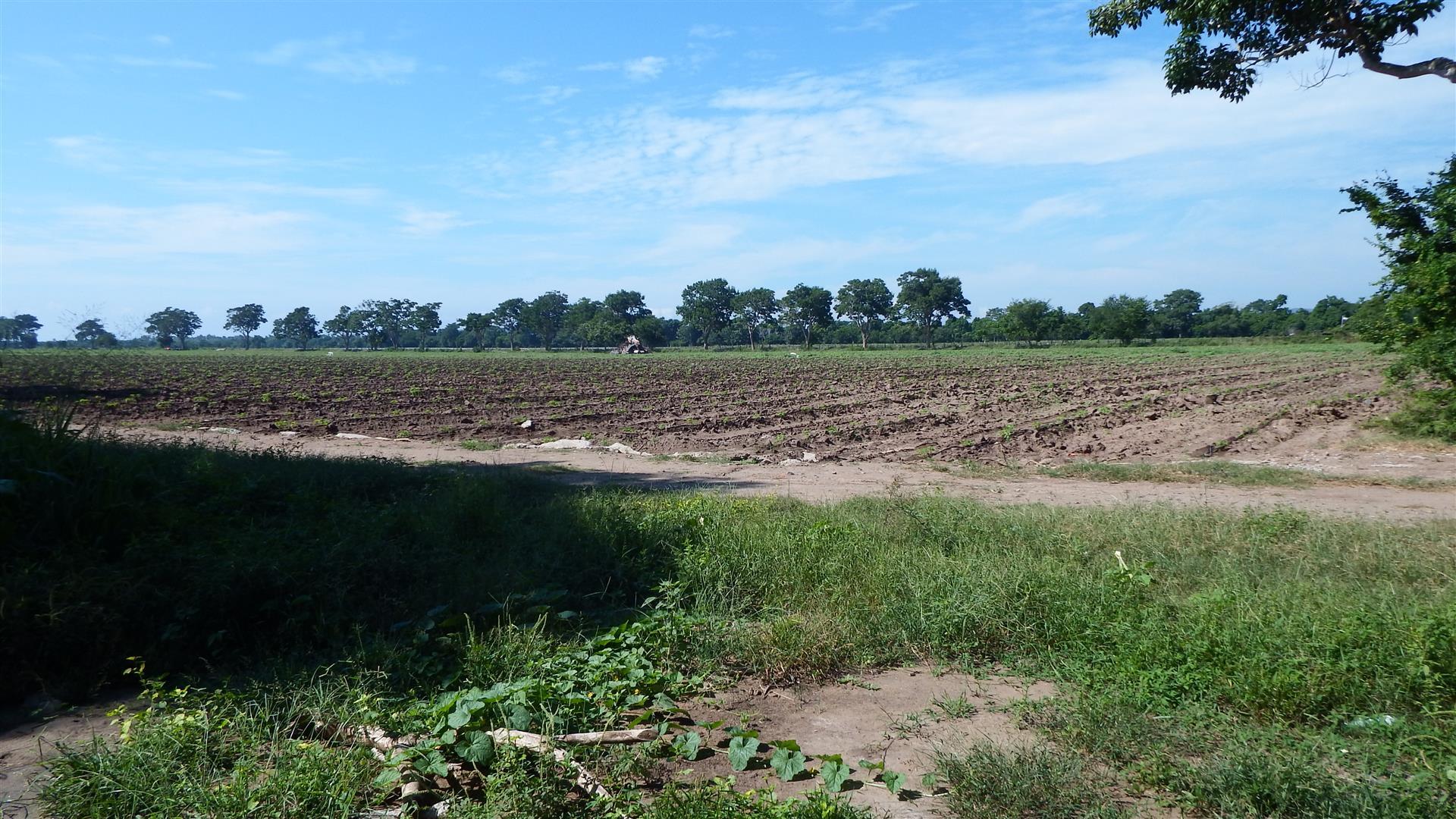 20200311215813750831000000-o