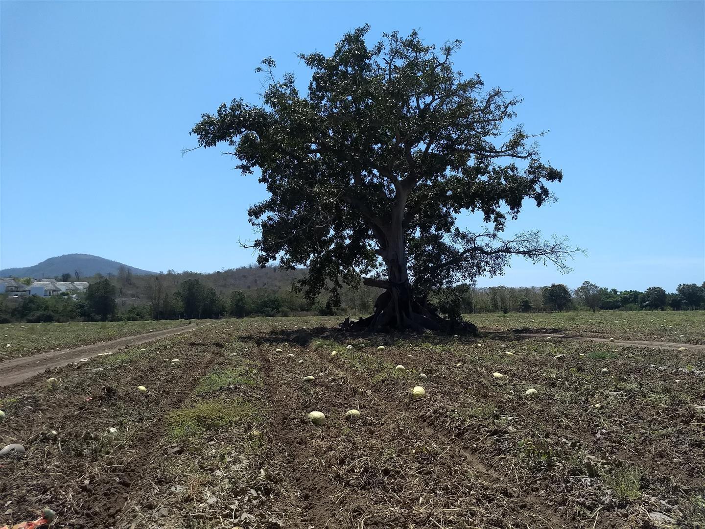 20200311215837073885000000-o