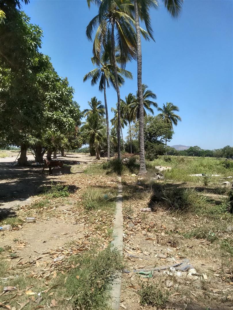 20200311215853334570000000-o