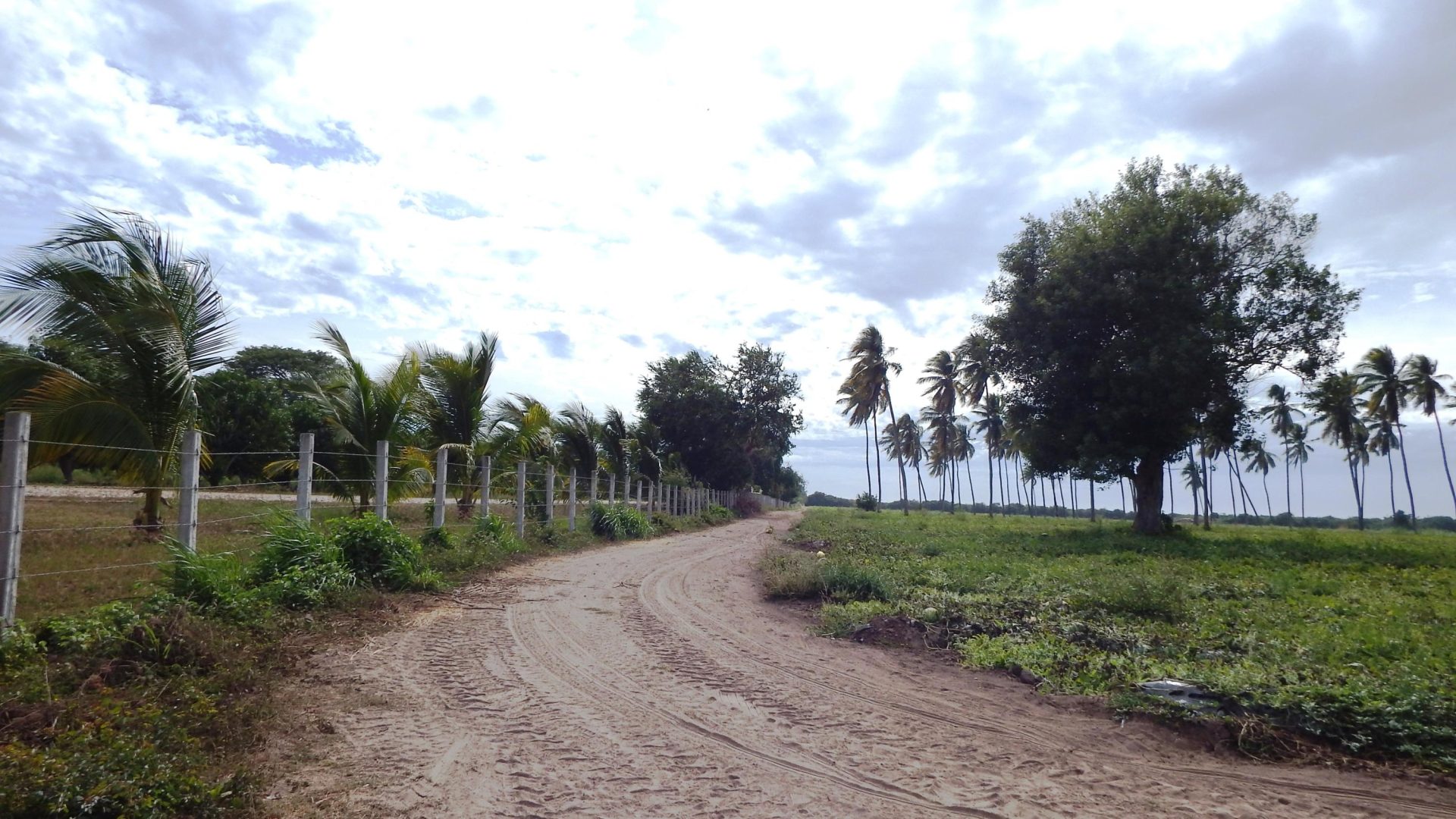 20201105171613800092000000-o