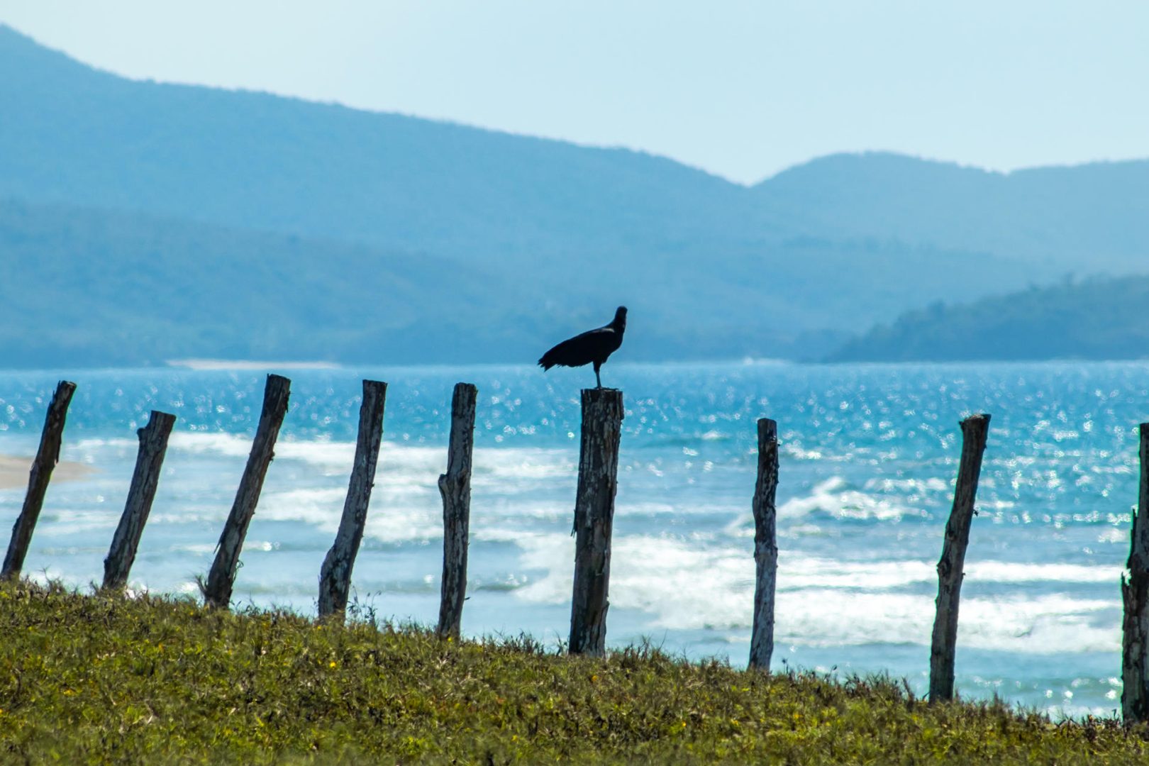 20201201220830771738000000-o