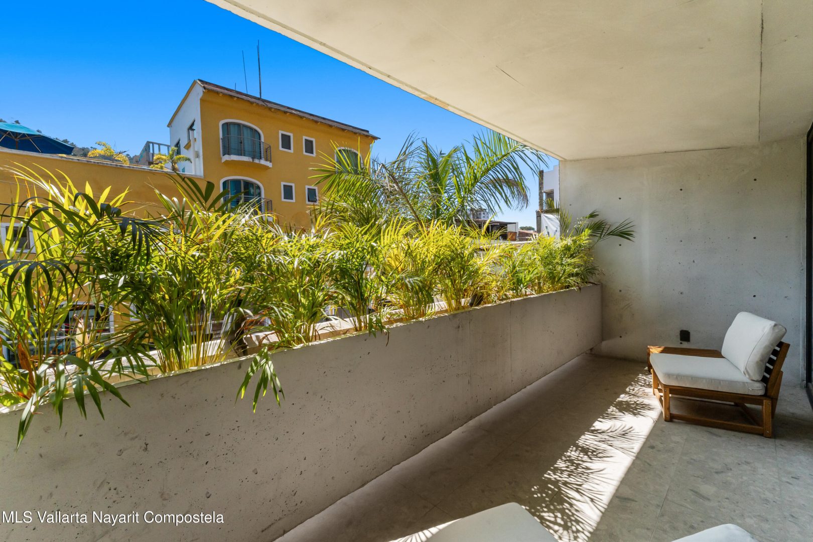 20260306000442497555000000-o