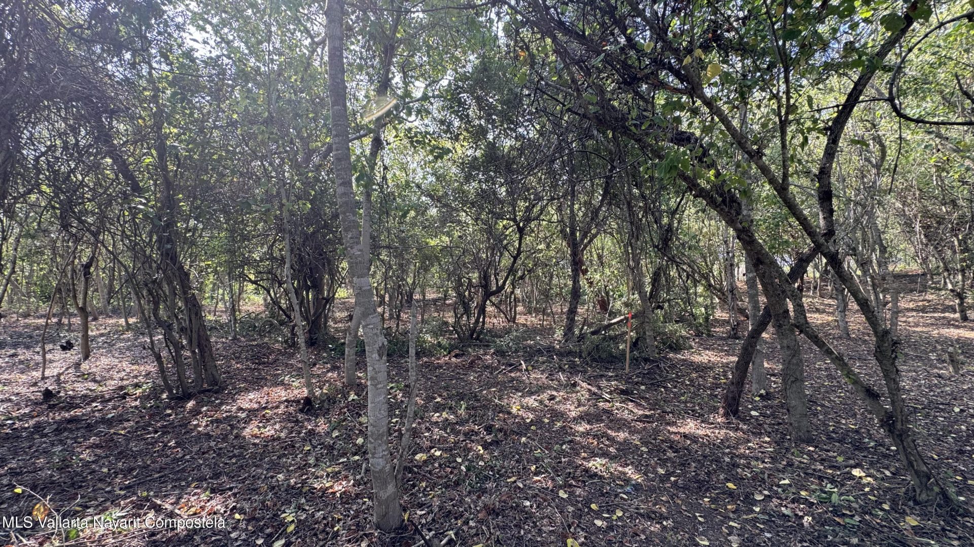 20260330183248307595000000-o