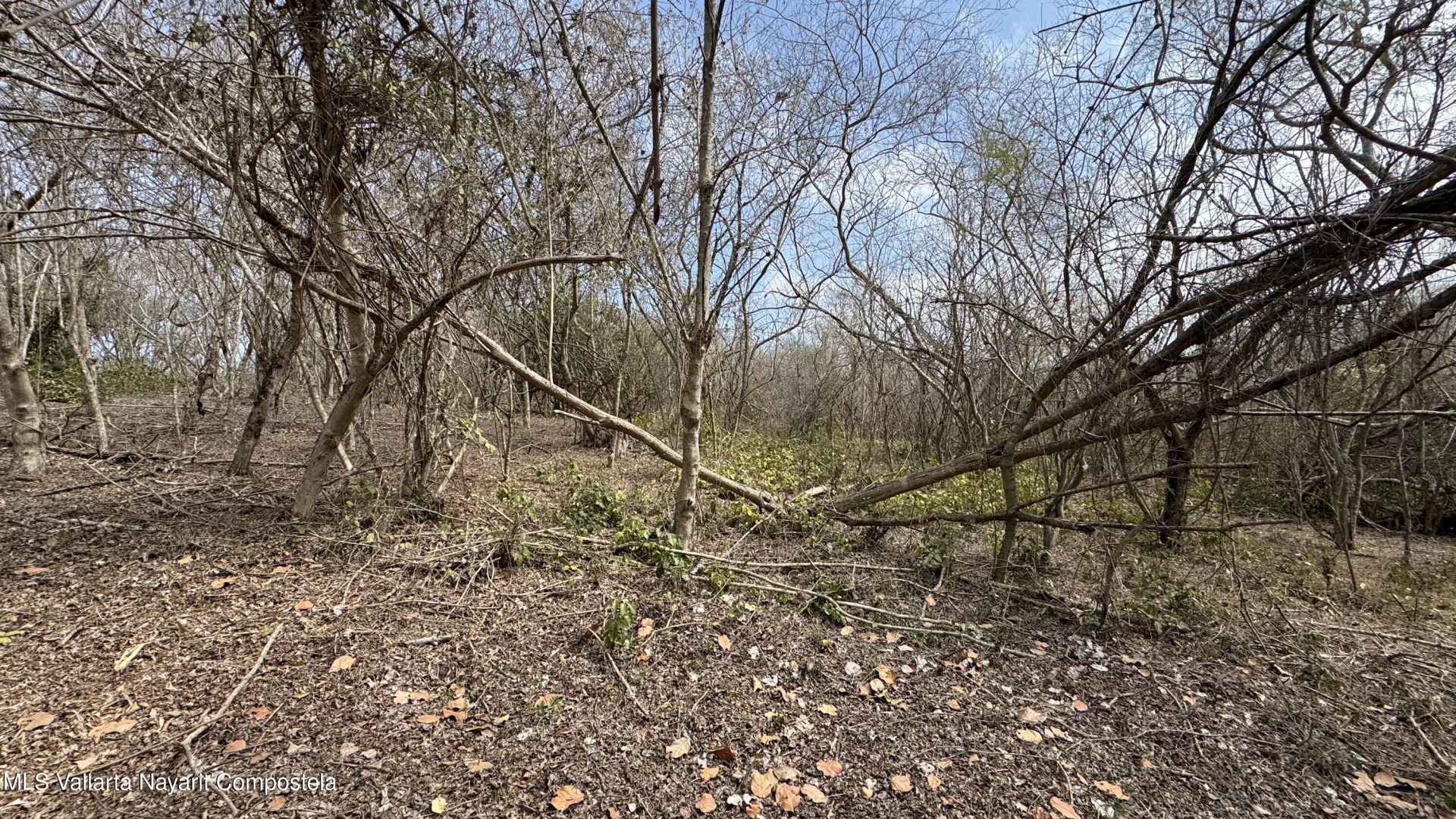 20260330183329156942000000-o