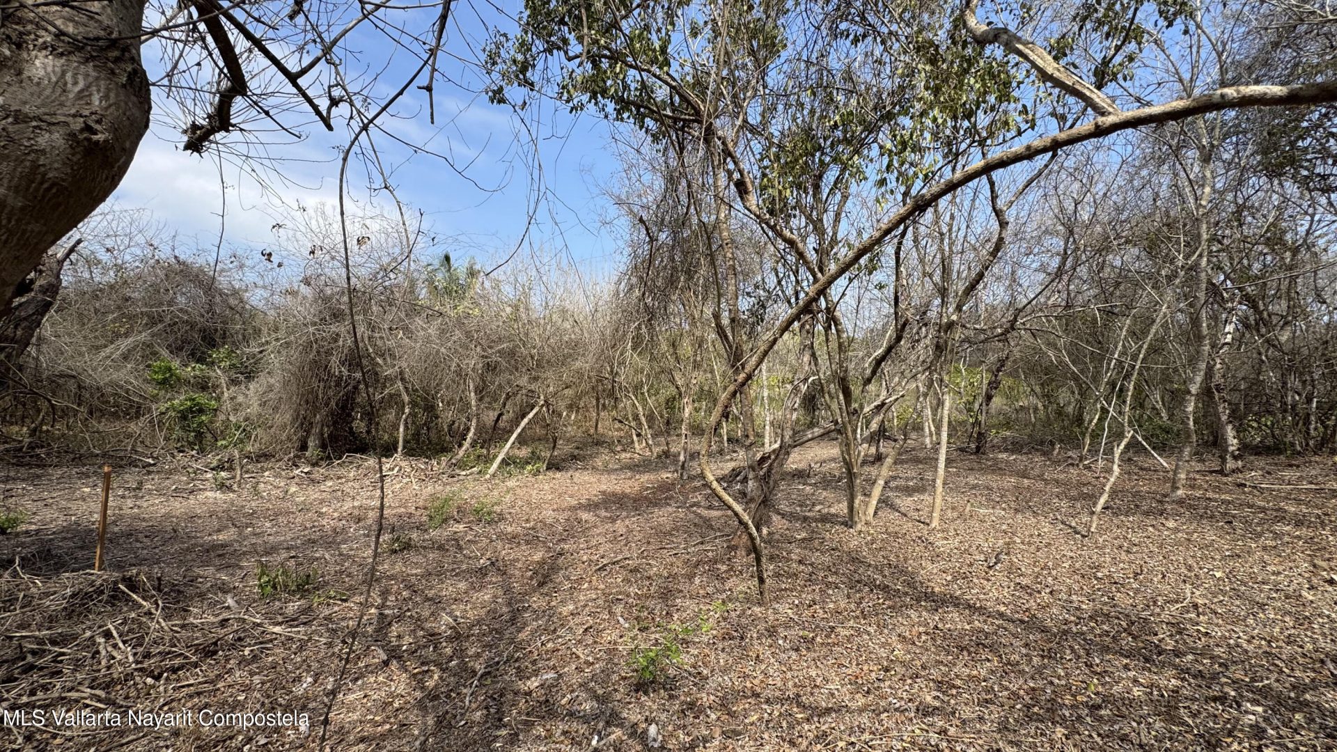 20260330183638101083000000-o