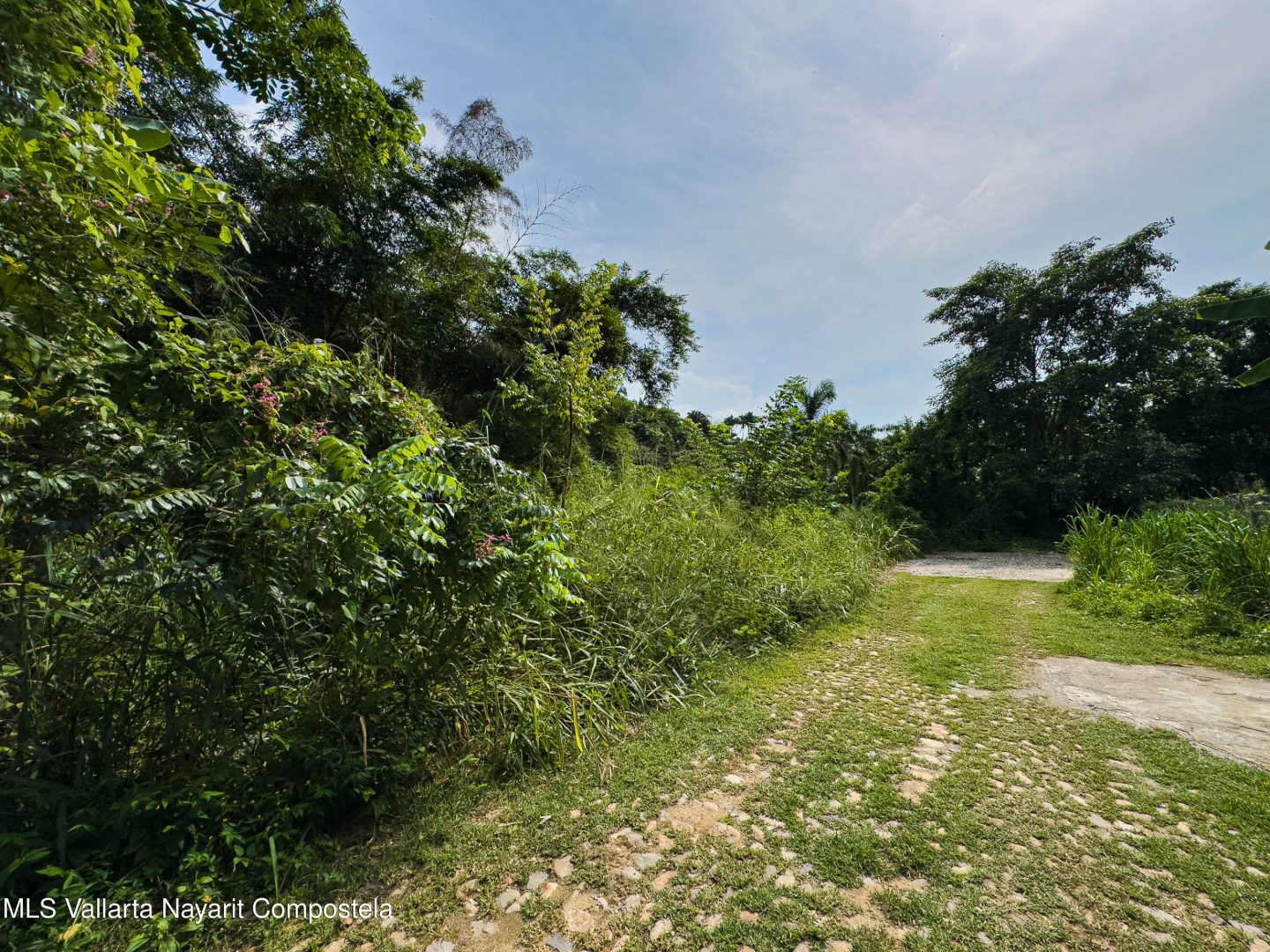 20260414153347658191000000-o