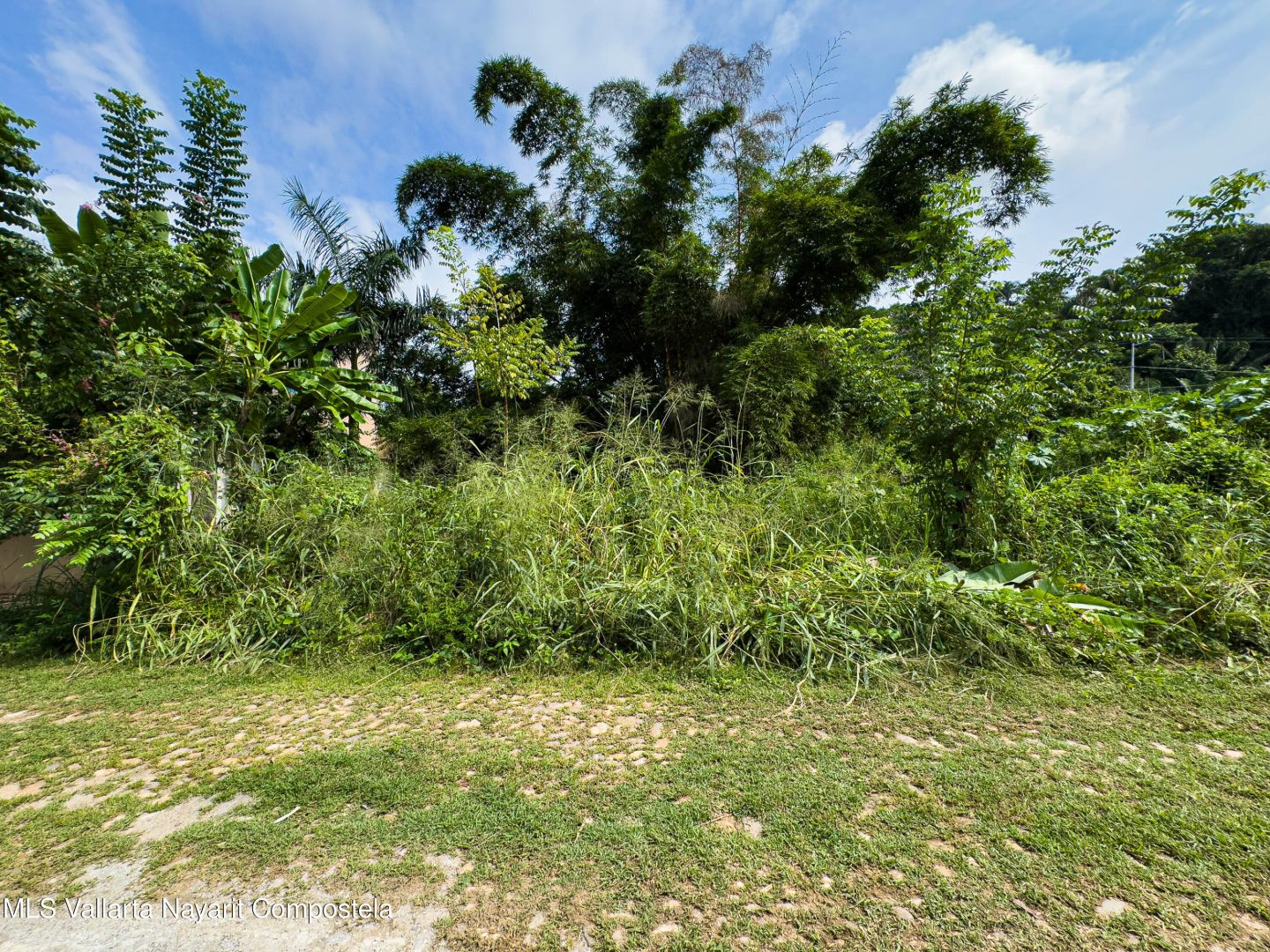 20260414153354004806000000-o