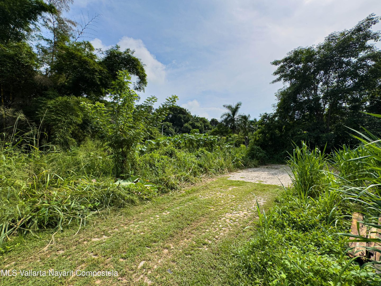 20260414153429141406000000-o