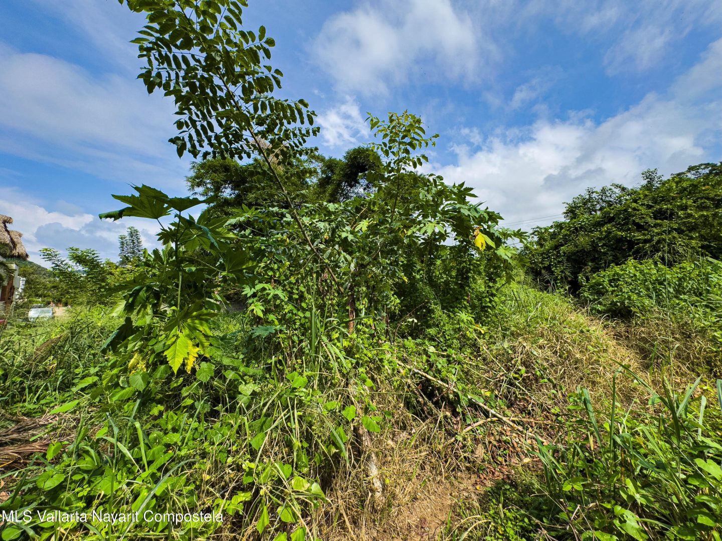 20260414153448910229000000-o